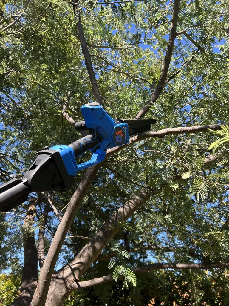 VR-JAR-2000 (11).webp