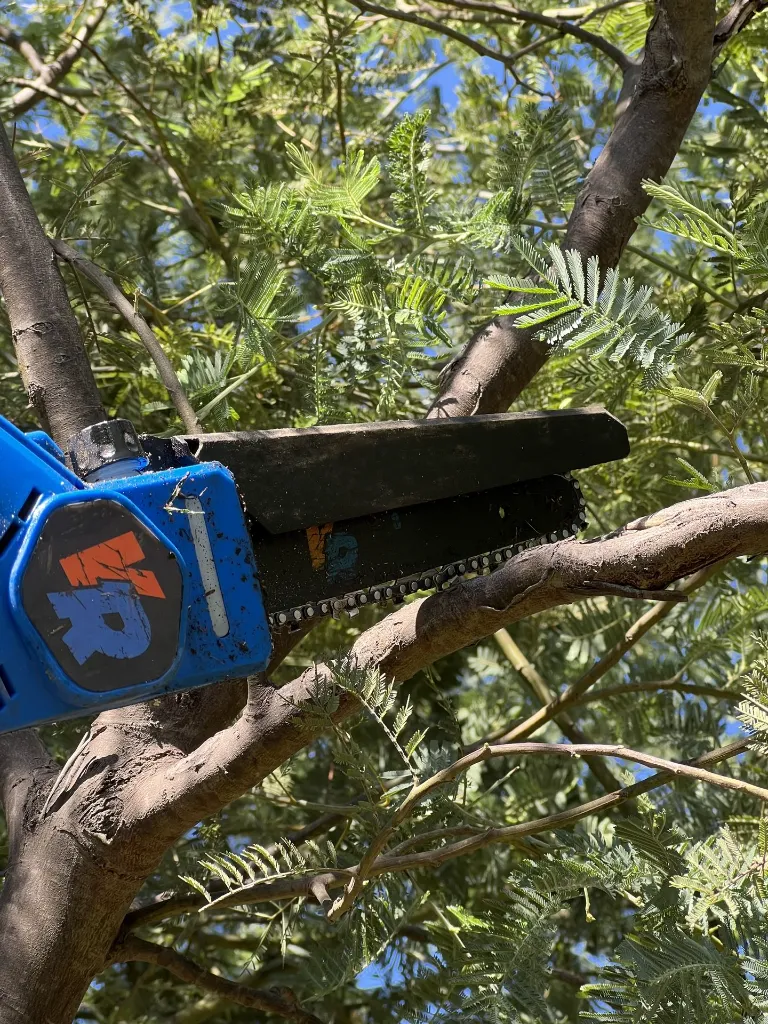 VR-JAR-2000 (10).webp