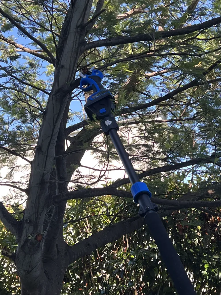 VR-JAR-2020 (3).webp