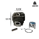 DE-ECH-2501-MED.webp
