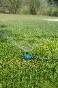 DSC01228.webp