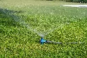 DSC01229 (1).webp