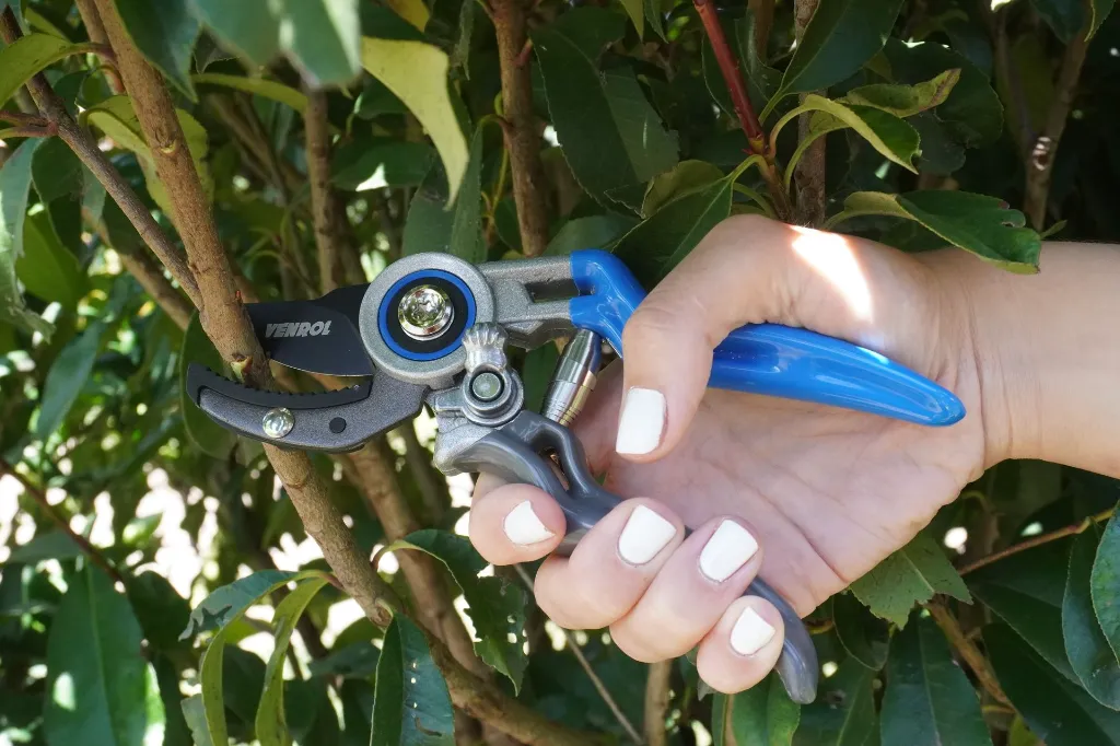 VR-JAR-0101(3) (2).webp