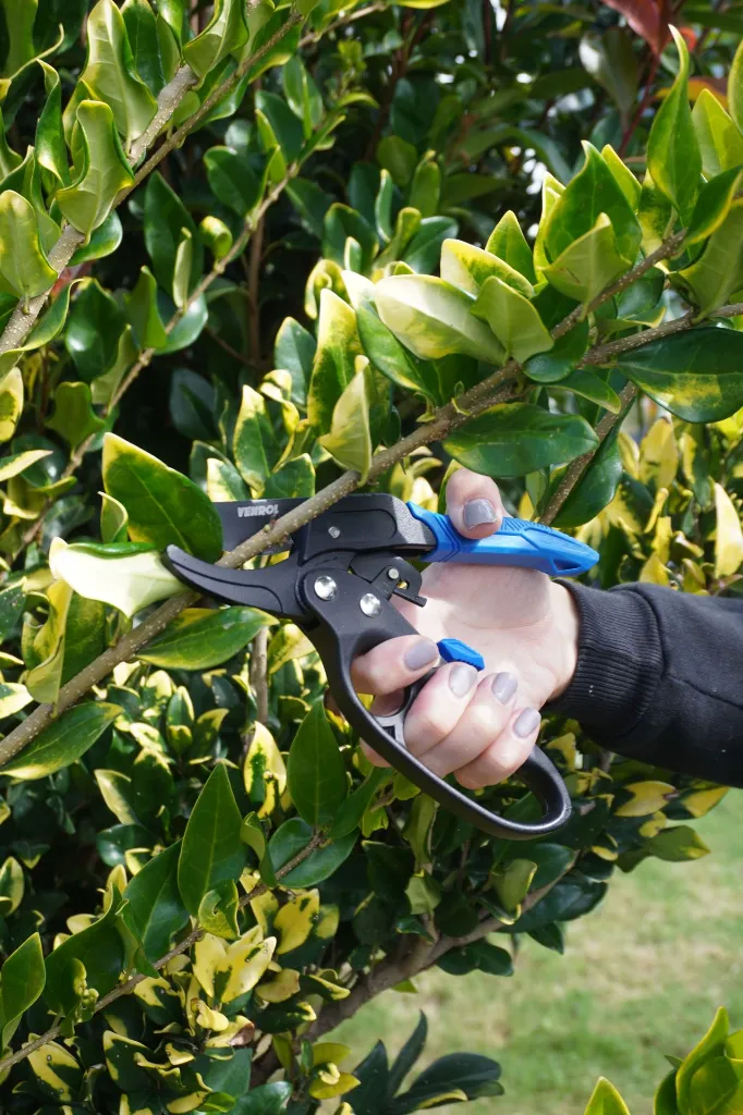 VR-JAR-0103 (4).webp