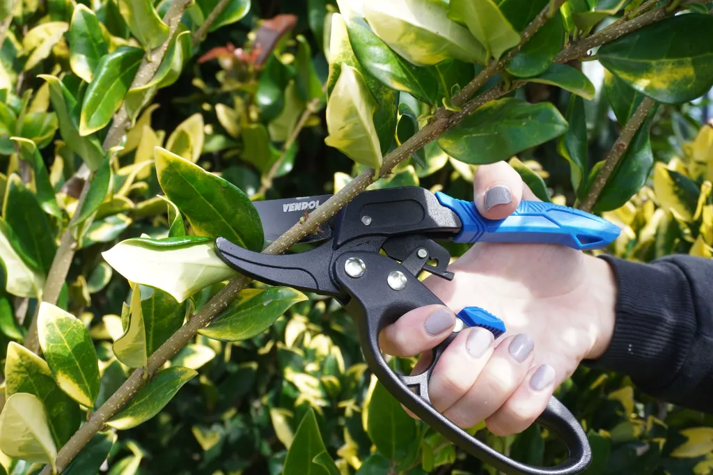 VR-JAR-0103 (3) (2).webp