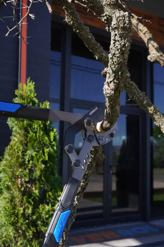 VR-JAR-0201 (5).webp