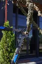 VR-JAR-0201 (5).webp