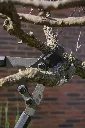 VR-JAR-0201 (4).webp