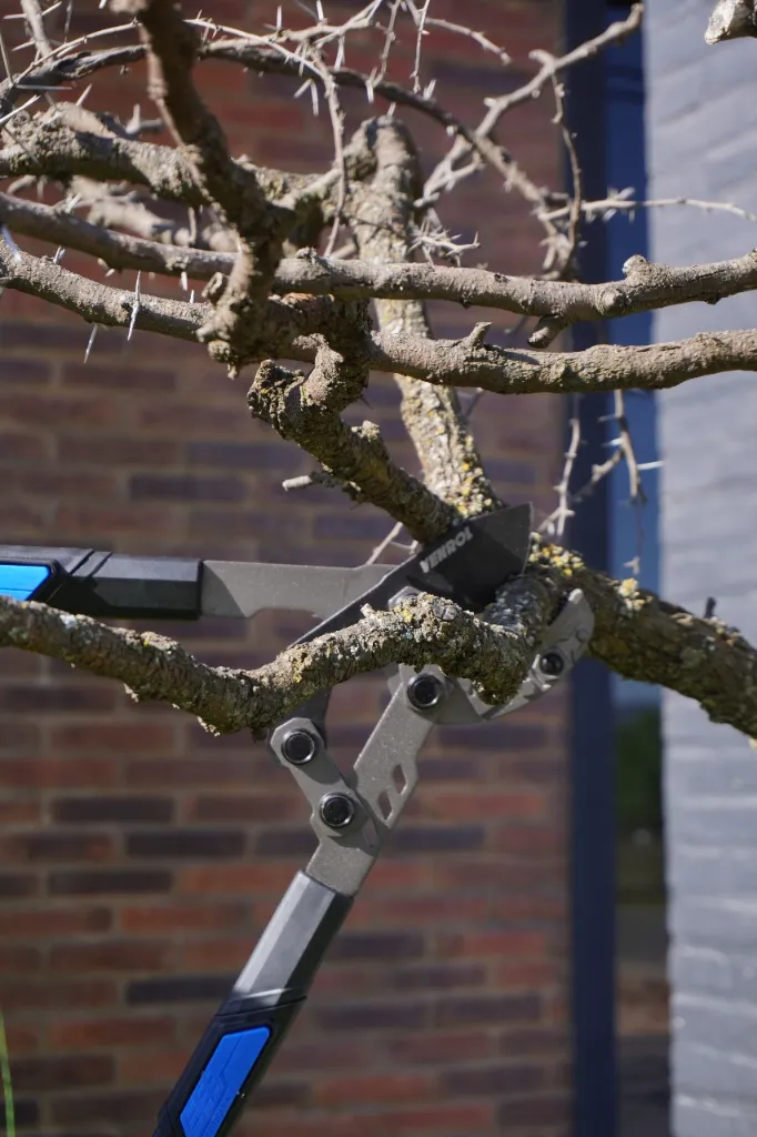 VR-JAR-0201 (6).webp