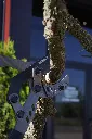 VR-JAR-0201 (7).webp
