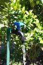 DSC08461 (1).webp