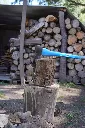 DSC05643.webp