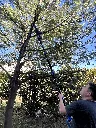 VR-JAR-2020 (5).webp