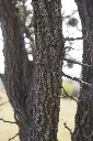 DSC02186.webp