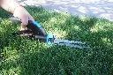 DSC09005.webp