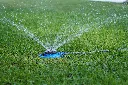 DSC01206.webp
