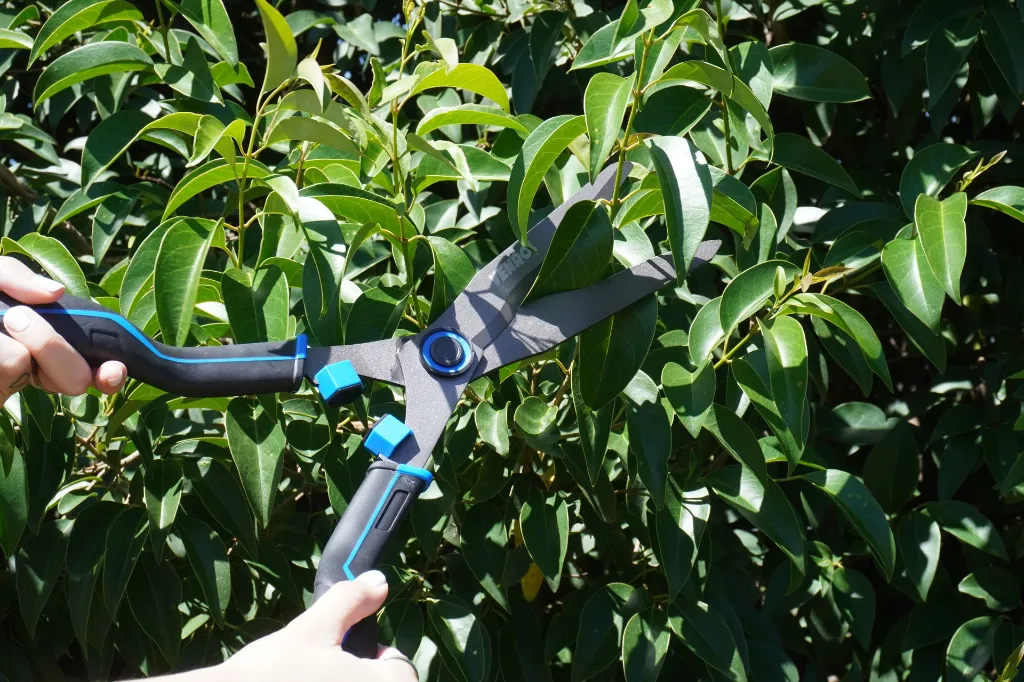 VR-JAR-0301 (6).webp