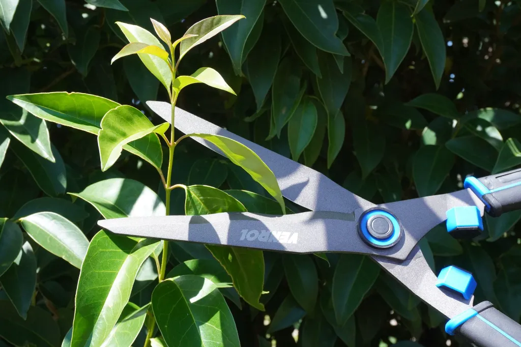 VR-JAR-0301 (1)(1).webp