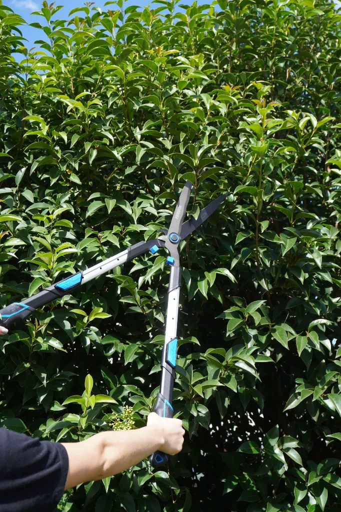 VR-JAR-0302 (6).webp