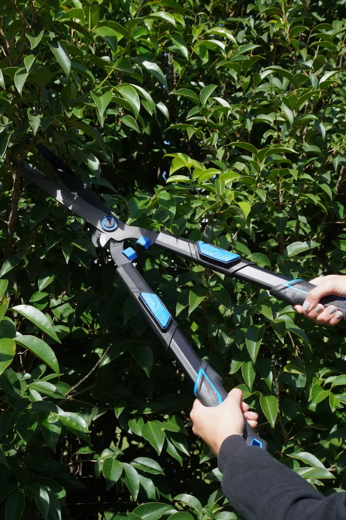 VR-JAR-0302 (10).webp