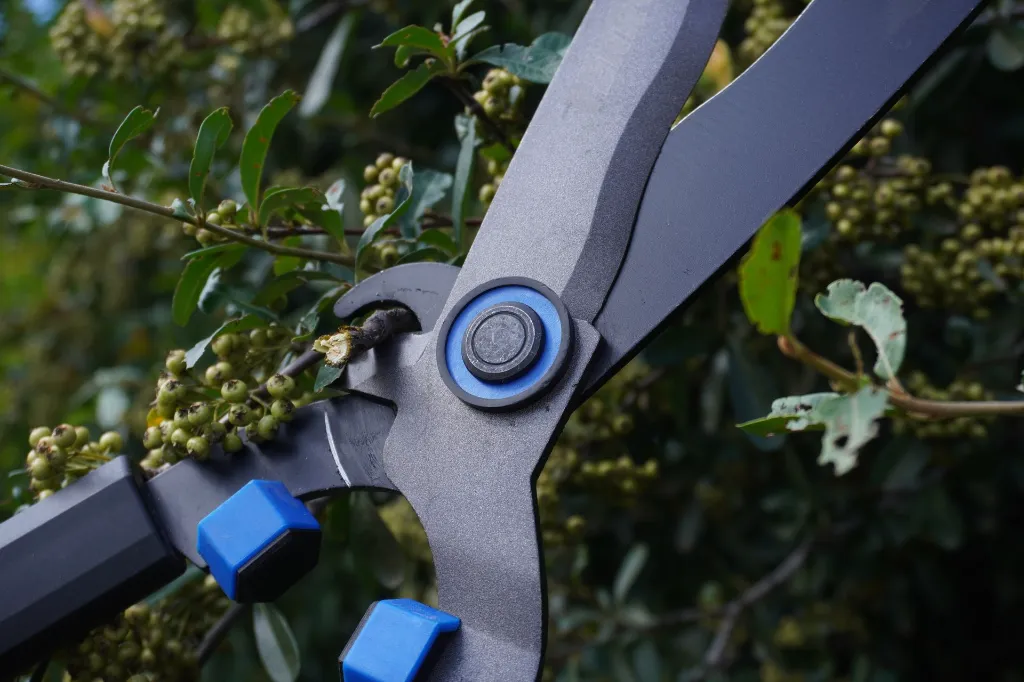 VR-JAR-0302 (7).JPG.webp