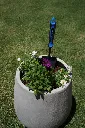 DSC03223 (1).webp