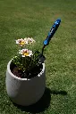 DSC03192 (3).webp