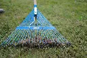 DSC01373 (1).webp
