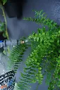 DSC01510 (1).webp