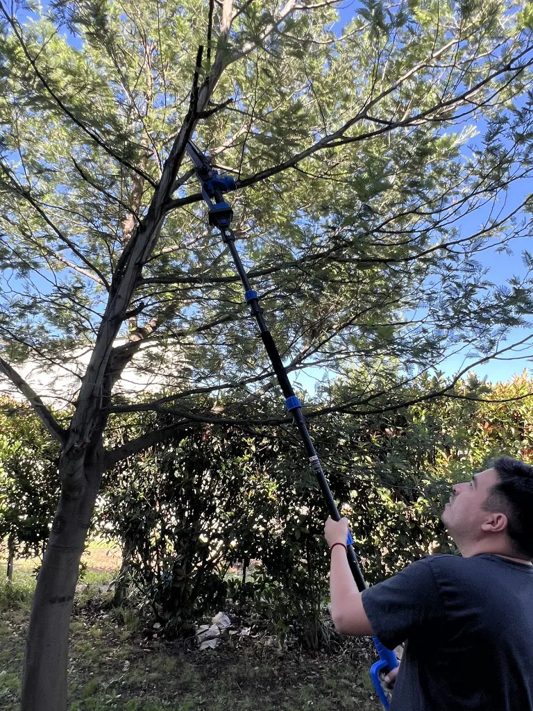 VR-JAR-2020 EXT (5).webp