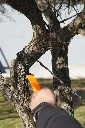 DSC02168 (1).webp