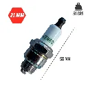 VR-BUJ-2-MED (1).webp