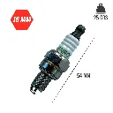 VR-BUJ-4-MED (1).webp