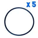 ORING GX 160 X 5 UN.