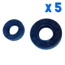 JUEGO DE RETENES PARA CHINAS 33 - 43 - 52 CC X 5 UN.