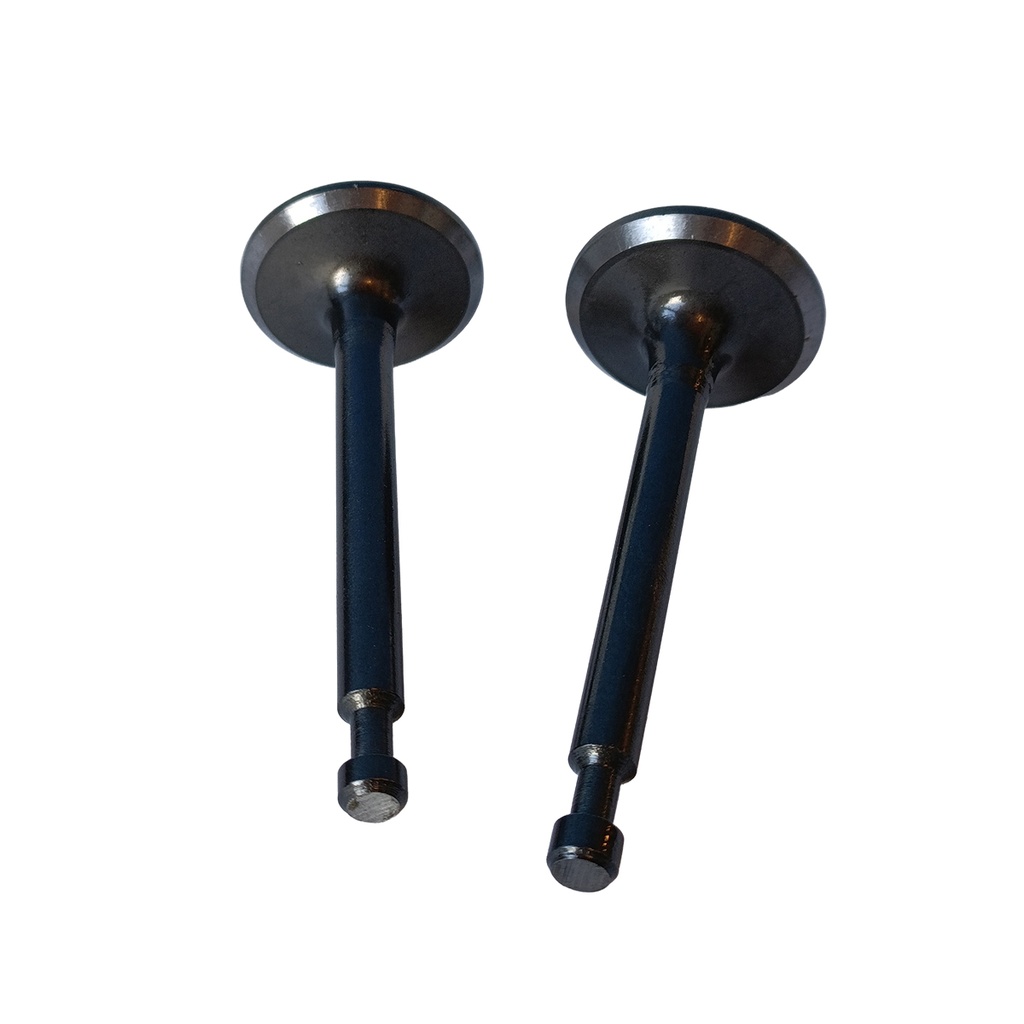 VÁLVULA DE ESCAPE Y ADMISIÓN PARA 5,5 - 6,5 HP (GX 160 )